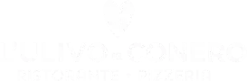 Ulivo del Conero